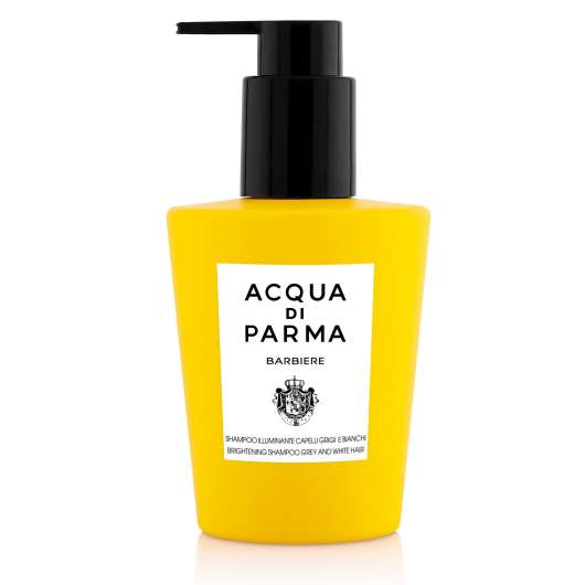 Acqua Di Parma Barbiere Brightening Shampoo For White And Grey Hair 20