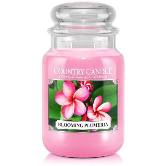 Country Candle Blooming Plumeria 2 Wick Large Jar 150 h