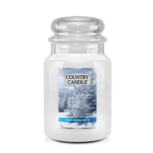 Country Candle Fresh Aspen Snow 2 Wick Large Jar