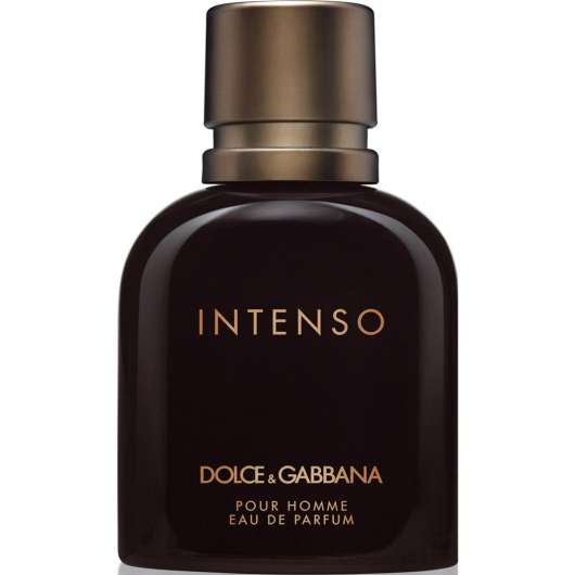 Dolce & Gabbana Ph Intenso Eau De Parfum 40 ml