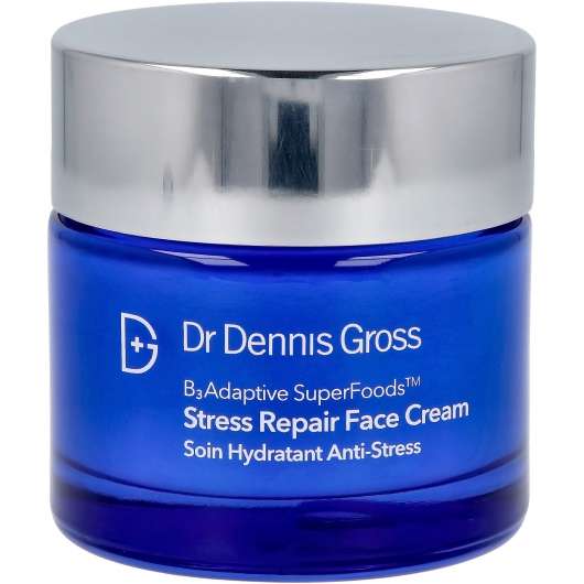Dr Dennis Gross B3 Adaptive Superfoods Stress Repair Face Cream 3 ml